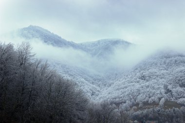 Hoarfrost dağın bulutlar altında