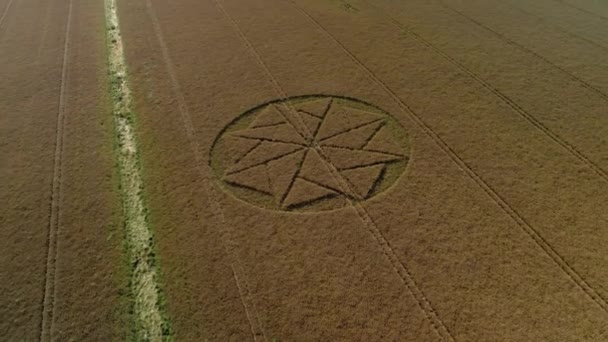 Extraterrestre Agricultura Cultura Círculo Geometria Arte Stanton Bernard Vista Aérea — Vídeo de Stock