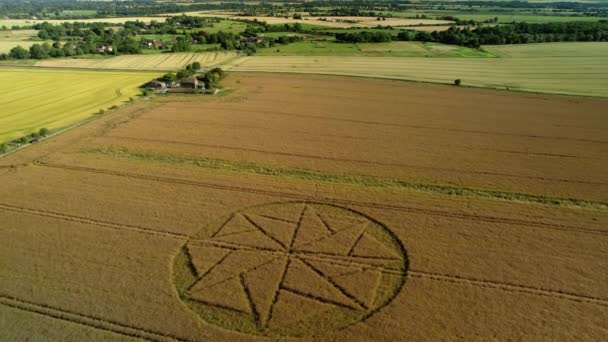 Terres Agricoles Paranormales Crop Circle Géométrie Illustration Stanton Bernard Vue — Video