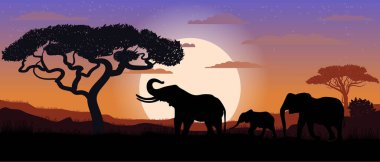 Fil ailesinin siluetini çizmek. Renkli vektör. Gün batımı. Safari. Seyahat.
