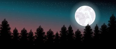 Vektör çizimi. Renkli orman manzarası, ay. Yıldızlı gökyüzü.