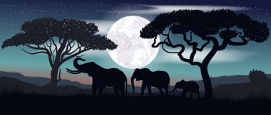 Renkli vektör. Fil ailesi. Safari.