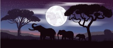 Renkli vektör. Fil ailesi. Safari.