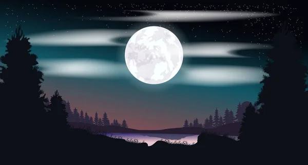 Vector Night Landscape Forest Starry Sky Colorful Illustration Bright Moon — ストックベクタ