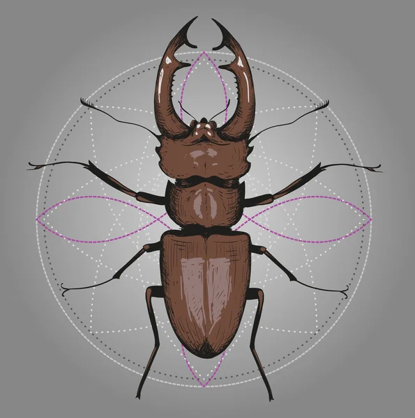 Escarabajo ciervo en el fondo del círculo. Dibujado a mano. Adecuado para tatuajes — Archivo Imágenes Vectoriales