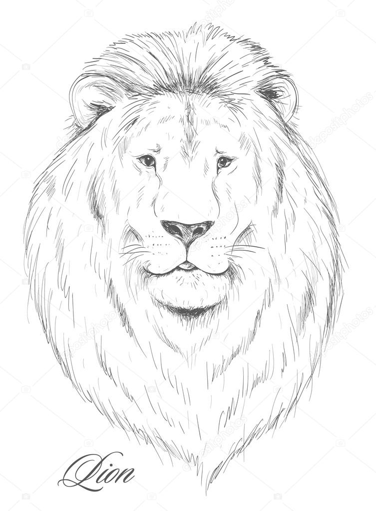 Löwe gezeichnet nach Vorlage | Löwe zeichnen, Löwe skizze, Coole  bleistiftzeichnungen