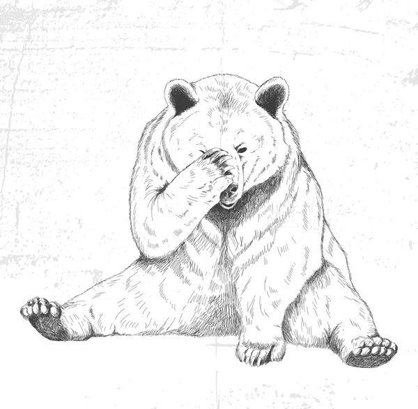 Sad bear. Sketch. Handmade. — Stok Vektör