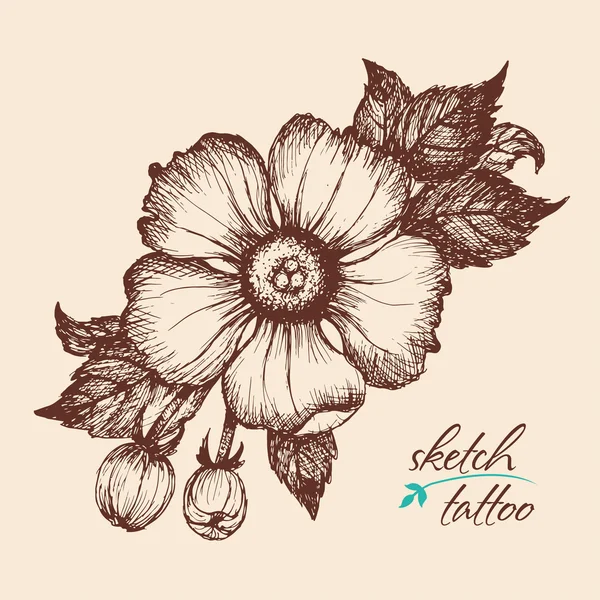 A sketch of a flower in vintage style. — Stock Vector