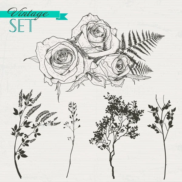 Vintage set of roses, branches and grass — Stock Vector