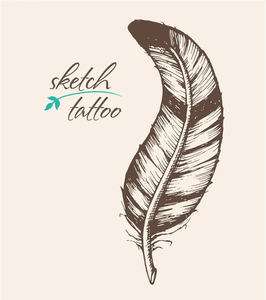 Un boceto de la pluma del pájaro. Adecuado para tatuaje — Archivo Imágenes Vectoriales
