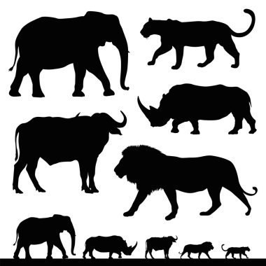 büyük beş Afrika safari hayvanlar