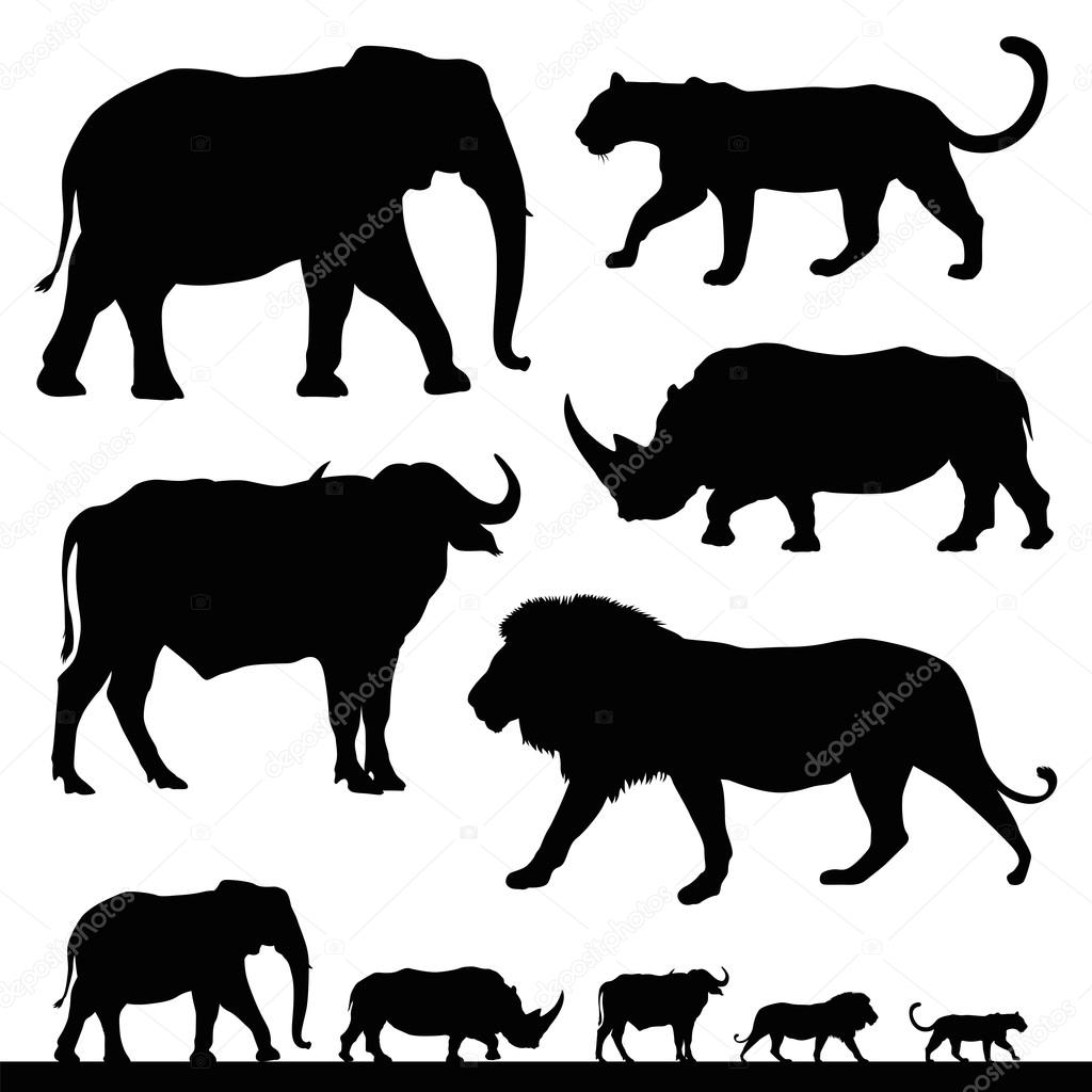 Big five african safari animals Stock Vector Image by ©Ivankeulen #102304218 Big five african safari animals Stock Vector Image by ©Ivankeulen #102304218