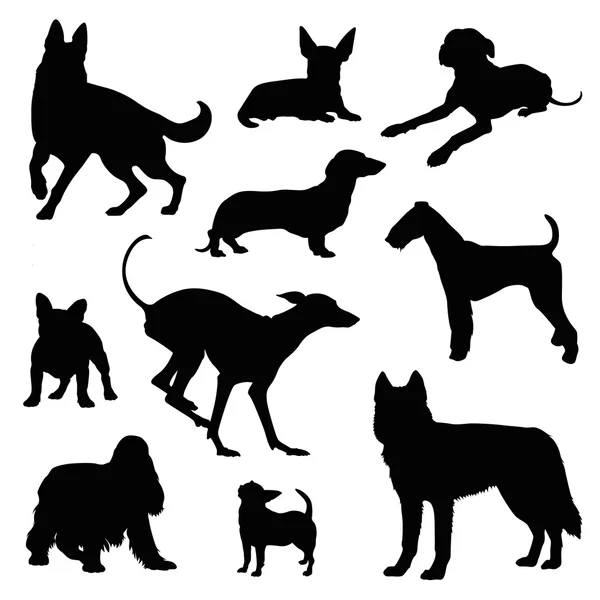 Conjunto de ilustração cão —  Vetores de Stock