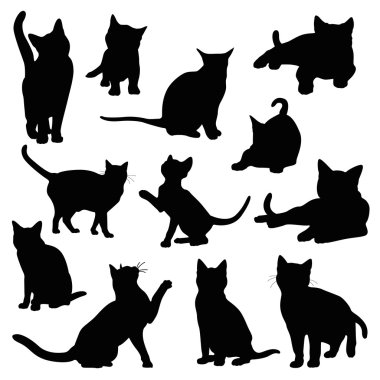 kedi siluet seti