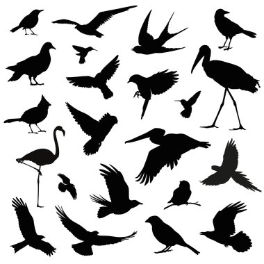 bird silhouette illustration set clipart
