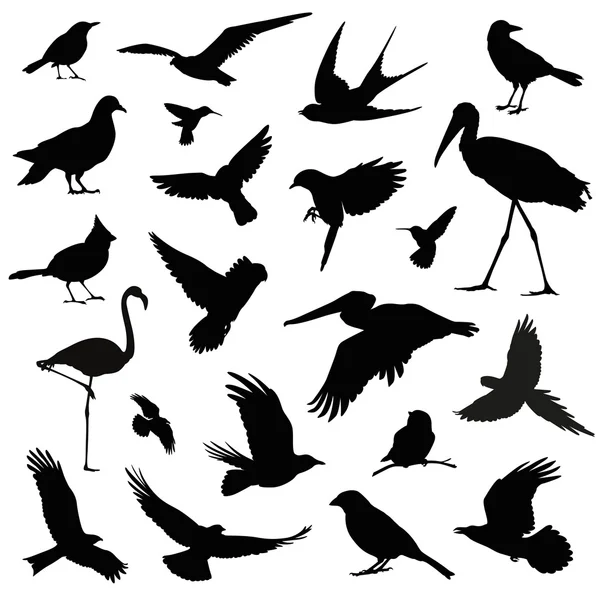 Set d'illustration silhouette d'oiseau — Image vectorielle