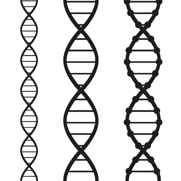 Illustrazione del filamento DNA — Vettoriale Stock