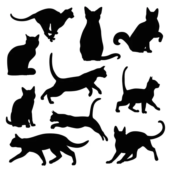 Conjunto vector silueta gato — Archivo Imágenes Vectoriales