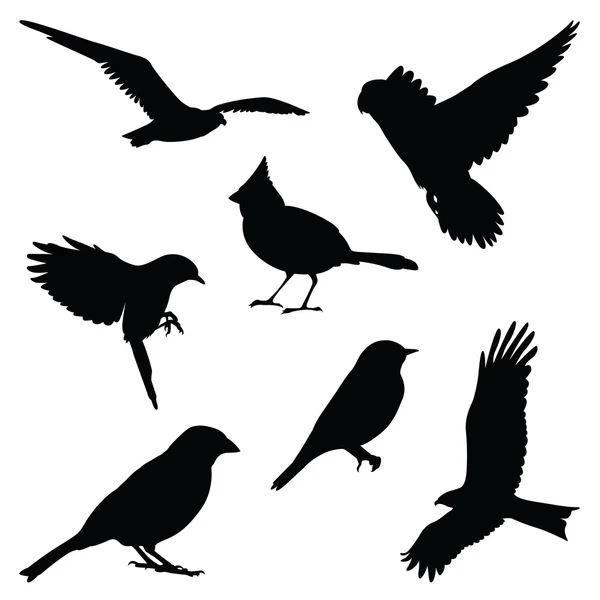 Kuş siluet illüstrasyon seti — Stok Vektör