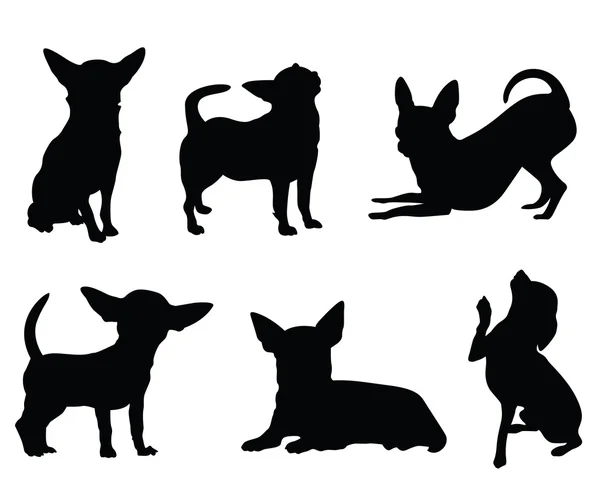 Chihuahua köpek resimde kümesi — Stok Vektör