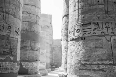 Deir el-Bahari ya da Dayr al-Bahri, Mısır 'ın başkenti Luxor' un batı kıyısında yer alan bir morg tapınağı ve mezar kompleksi.