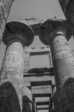 Deir el-Bahari ya da Dayr al-Bahri, Mısır 'ın başkenti Luxor' un batı kıyısında yer alan bir morg tapınağı ve mezar kompleksi.