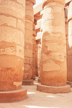 Deir el-Bahari ya da Dayr al-Bahri, Mısır 'ın başkenti Luxor' un batı kıyısında yer alan bir morg tapınağı ve mezar kompleksi.