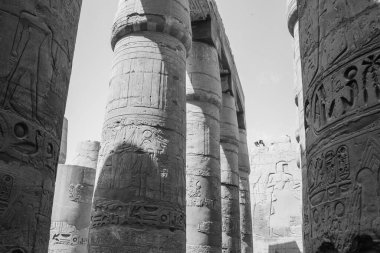 Deir el-Bahari ya da Dayr al-Bahri, Mısır 'ın başkenti Luxor' un batı kıyısında yer alan bir morg tapınağı ve mezar kompleksi.