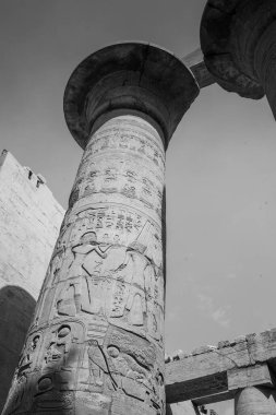 Deir el-Bahari ya da Dayr al-Bahri, Mısır 'ın başkenti Luxor' un batı kıyısında yer alan bir morg tapınağı ve mezar kompleksi.