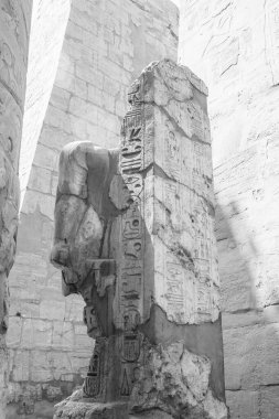 Deir el-Bahari ya da Dayr al-Bahri, Mısır 'ın başkenti Luxor' un batı kıyısında yer alan bir morg tapınağı ve mezar kompleksi.