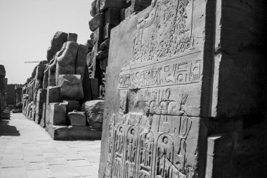Deir el-Bahari ya da Dayr al-Bahri, Mısır 'ın başkenti Luxor' un batı kıyısında yer alan bir morg tapınağı ve mezar kompleksi.