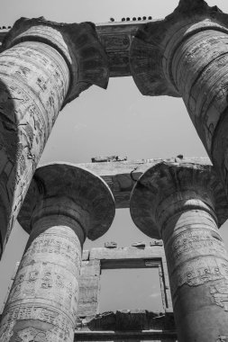Deir el-Bahari ya da Dayr al-Bahri, Mısır 'ın başkenti Luxor' un batı kıyısında yer alan bir morg tapınağı ve mezar kompleksi.