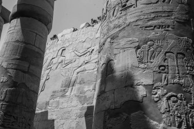 Deir el-Bahari ya da Dayr al-Bahri, Mısır 'ın başkenti Luxor' un batı kıyısında yer alan bir morg tapınağı ve mezar kompleksi.