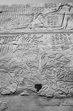 Deir el-Bahari ya da Dayr al-Bahri, Mısır 'ın başkenti Luxor' un batı kıyısında yer alan bir morg tapınağı ve mezar kompleksi.