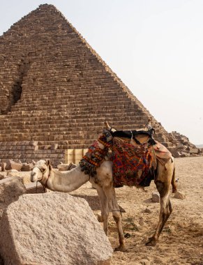 Giza Piramit Kompleksi (ayrıca Giza Necropolis olarak da bilinir) Mısır 'ın başkenti Kahire' deki Giza Platosu 'nda yer alır.