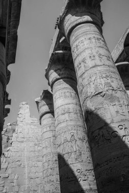 Deir el-Bahari ya da Dayr al-Bahri, Mısır 'ın başkenti Luxor' un batı kıyısında yer alan bir morg tapınağı ve mezar kompleksi.