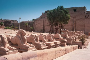 Deir el-Bahari ya da Dayr al-Bahri, Mısır 'ın başkenti Luxor' un batı kıyısında yer alan bir morg tapınağı ve mezar kompleksi.