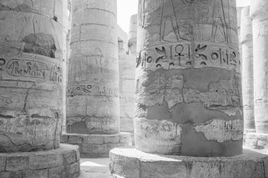 Deir el-Bahari ya da Dayr al-Bahri, Mısır 'ın başkenti Luxor' un batı kıyısında yer alan bir morg tapınağı ve mezar kompleksi.