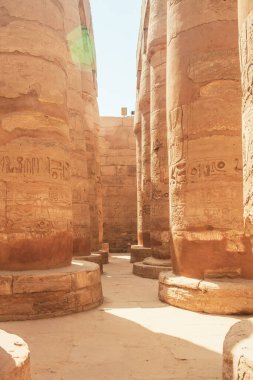 Deir el-Bahari ya da Dayr al-Bahri, Mısır 'ın başkenti Luxor' un batı kıyısında yer alan bir morg tapınağı ve mezar kompleksi.