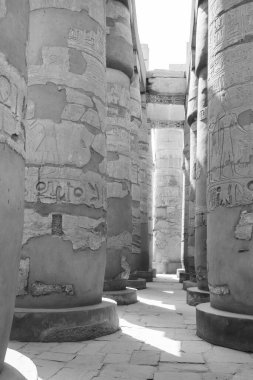 Deir el-Bahari ya da Dayr al-Bahri, Mısır 'ın başkenti Luxor' un batı kıyısında yer alan bir morg tapınağı ve mezar kompleksi.