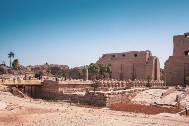 Deir el-Bahari ya da Dayr al-Bahri, Mısır 'ın başkenti Luxor' un batı kıyısında yer alan bir morg tapınağı ve mezar kompleksi.
