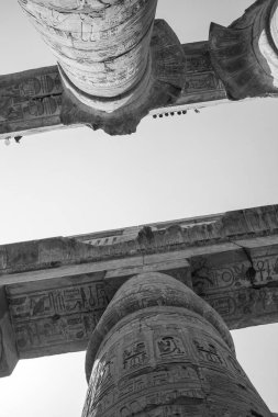 Deir el-Bahari ya da Dayr al-Bahri, Mısır 'ın başkenti Luxor' un batı kıyısında yer alan bir morg tapınağı ve mezar kompleksi.