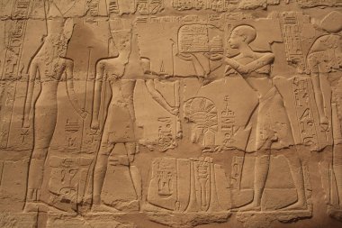 Deir el-Bahari ya da Dayr al-Bahri, Mısır 'ın başkenti Luxor' un batı kıyısında yer alan bir morg tapınağı ve mezar kompleksi.