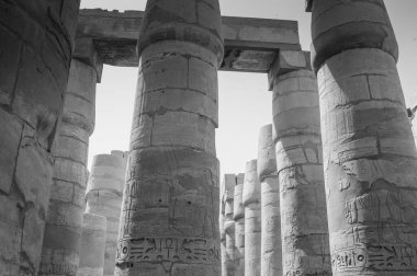 Deir el-Bahari ya da Dayr al-Bahri, Mısır 'ın başkenti Luxor' un batı kıyısında yer alan bir morg tapınağı ve mezar kompleksi.