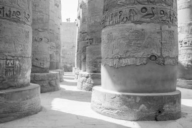 Deir el-Bahari ya da Dayr al-Bahri, Mısır 'ın başkenti Luxor' un batı kıyısında yer alan bir morg tapınağı ve mezar kompleksi.