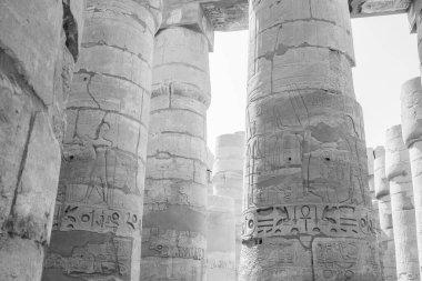 Deir el-Bahari ya da Dayr al-Bahri, Mısır 'ın başkenti Luxor' un batı kıyısında yer alan bir morg tapınağı ve mezar kompleksi.