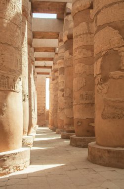 Deir el-Bahari ya da Dayr al-Bahri, Mısır 'ın başkenti Luxor' un batı kıyısında yer alan bir morg tapınağı ve mezar kompleksi.