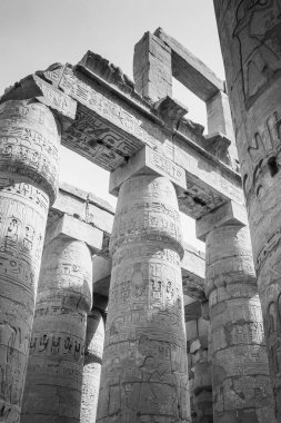 Deir el-Bahari ya da Dayr al-Bahri, Mısır 'ın başkenti Luxor' un batı kıyısında yer alan bir morg tapınağı ve mezar kompleksi.