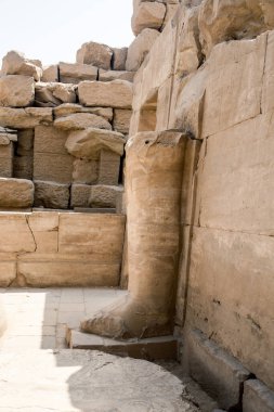 Deir el-Bahari ya da Dayr al-Bahri, Mısır 'ın başkenti Luxor' un batı kıyısında yer alan bir morg tapınağı ve mezar kompleksi.