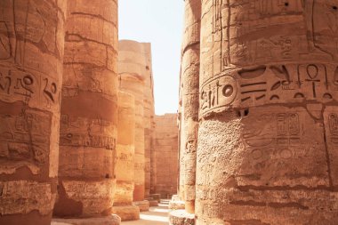 Deir el-Bahari ya da Dayr al-Bahri, Mısır 'ın başkenti Luxor' un batı kıyısında yer alan bir morg tapınağı ve mezar kompleksi.